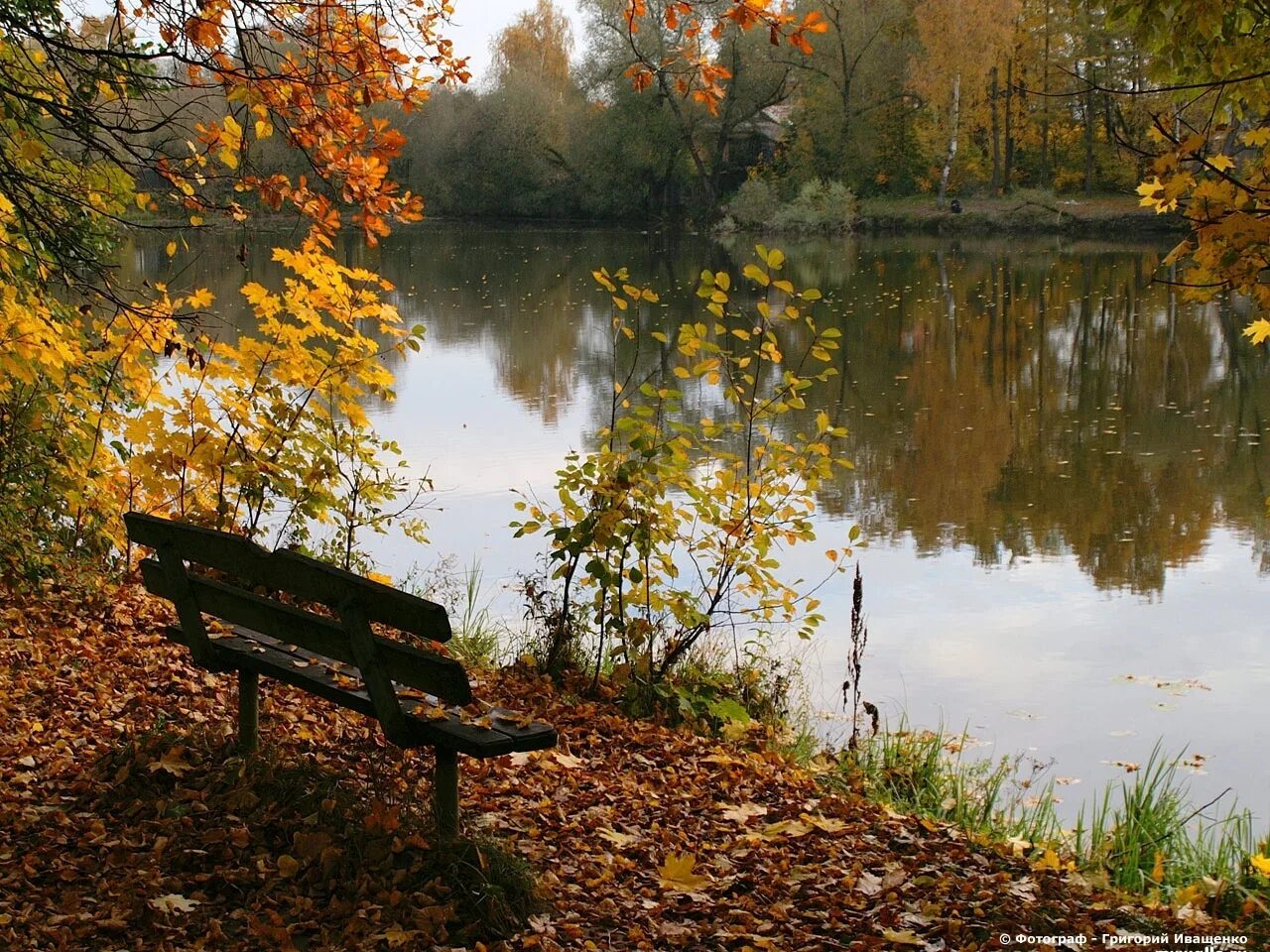 Болдинская осень. Осеннее озеро. Осенний пейзаж у реки. Ранним утром сентября