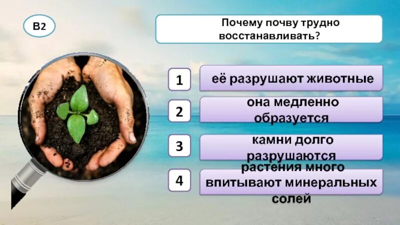 Гумусный слой почвы это. Характеристика почвы. Пахотный слой почвы. Почему почву трудно восстанавливать. Способы восстановления плодородия почвы.