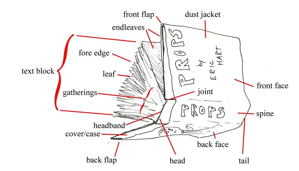 Parts of a book. Book Parts. Flap карта. Parts Jacket. Book Parts name.