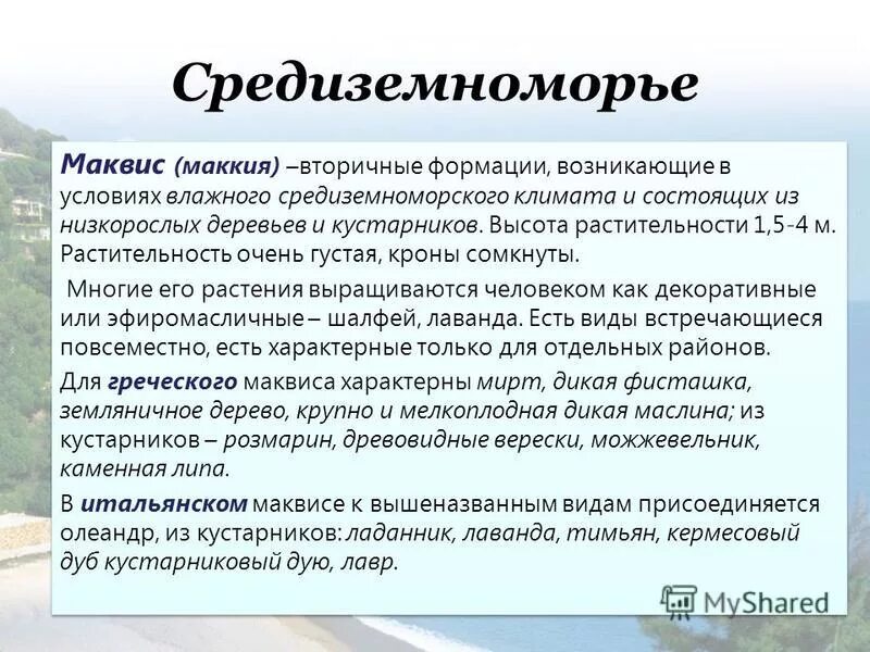 Жестколистные вечнозеленые леса и кустарники северной америки