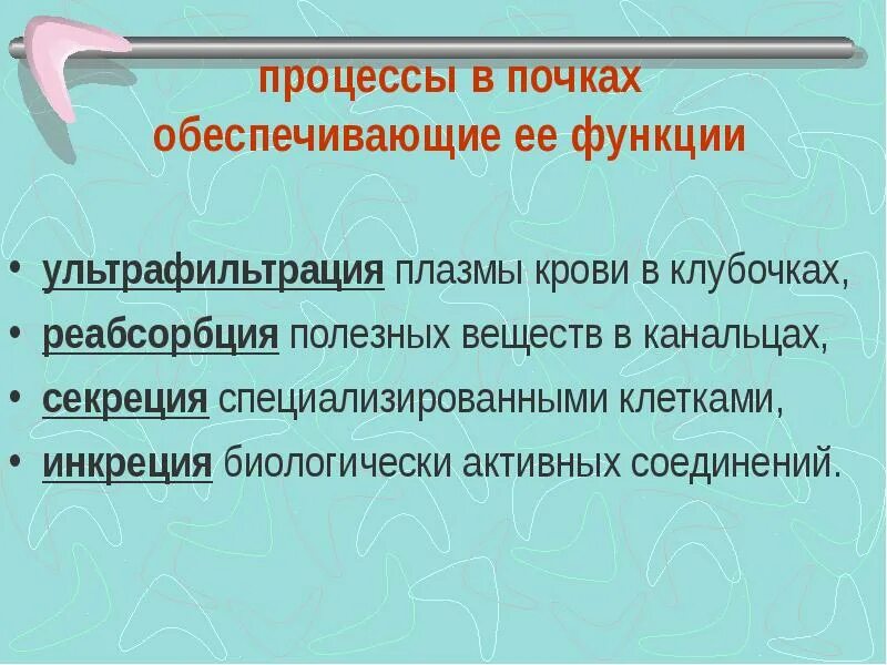 Инкреция это. Нарушение ультрафильтрации в почках. что свидетельствует о нарушениях ультрафильтрации в почках?. признаки свидетельствующие о нарушении ультрафильтрации в почках. инкреция почек.
