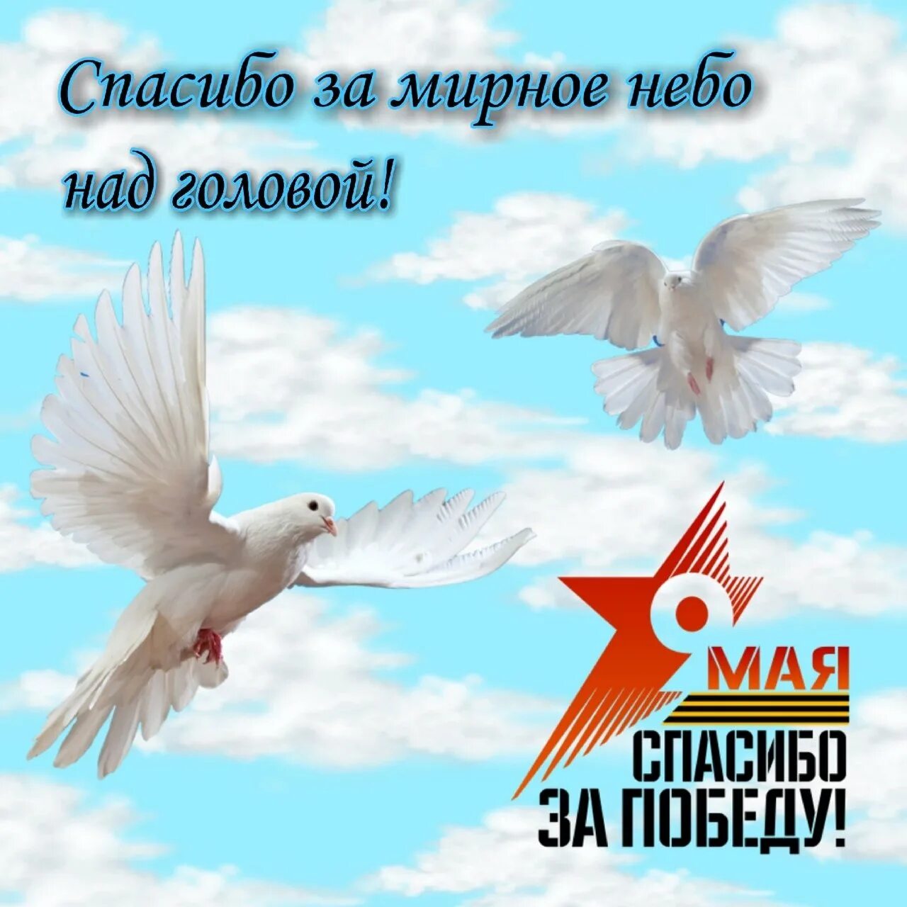 Спасибо за мирное небо над головой. Мирного неба над головой. мирное небо на доловой. пожелания мирного неба.