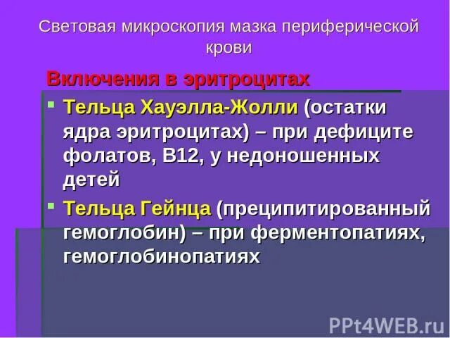 Тельца Хауэлла Жолли. Тельца Гейнца в эритроцитах. Тельца Жолли в эритроцитах наблюдаются при. Тельца Жолли в мазке крови. Тельце гейнца