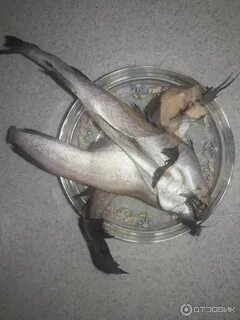 Сколько минтай в воде
