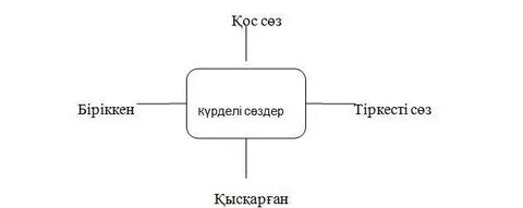 Термин сөздер дегеніміз не