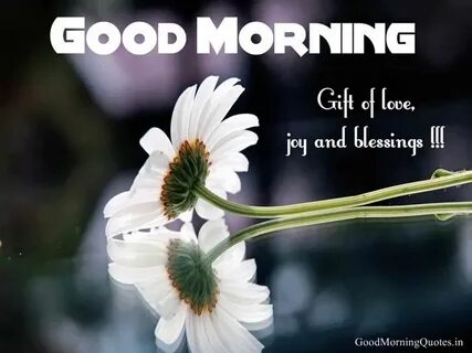 Good morning s