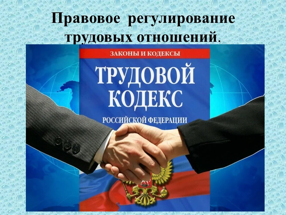 Социально трудовые отношения в российских организациях. Трудовой кодекс. Государственное регулирование трудовых отношений. Законодательное регулирование трудовых отношений. Правовое регулирование трудовых правоотношений.