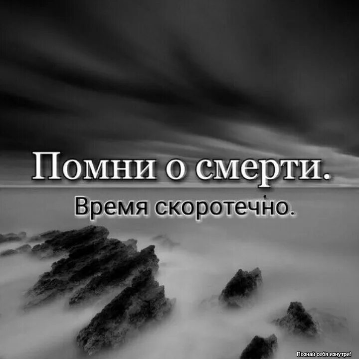 Забыть цитаты. Фразы со смыслом. Забытое цитаты. Забудь цитаты. Высказывания про прошлое и будущее.