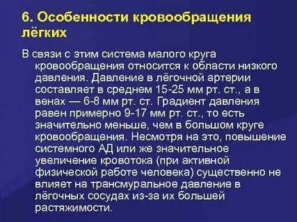 Система легочного кровообращения