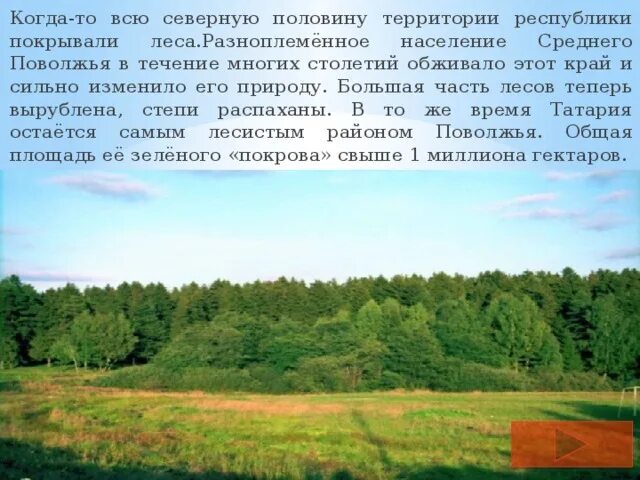 Есть в этом обжитом крае. Разнообразие природы Татарстана. Растительность Республики Татарстан. Разнообразие природы родного края Татарстан. Природа Татарстана описание.