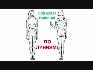 Массаж сухой щеткой видео. Лимфодренажный массаж сухой щеткой схема. сухой массаж щеткой техника для похудения схема. схема массажа сухой щеткой. линии массажа тела сухой щеткой.