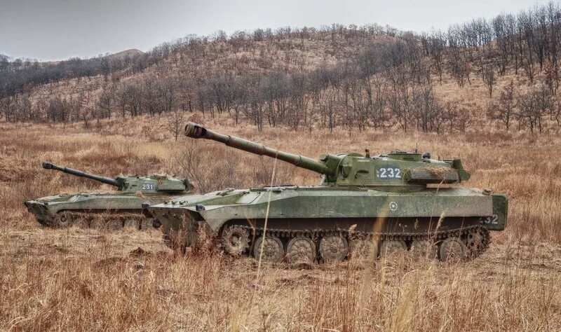 орудие 2 с 1. 2с1 гвоздика 122-мм самоходная. сау 2с34 «хоста». гаубица 2с1 гвоздика. сау гвоздика 2с1.