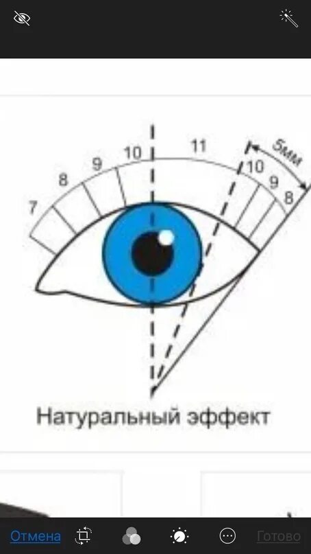 Натуральный эффект наращивания схема. Схема натурального эффекта наращивания ресниц классика. Классическое наращивание ресниц натуральный эффект схема. Натуральный эффект наращивания классика схема.