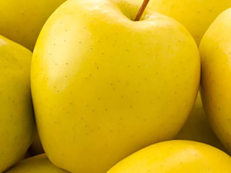 Golden delicious apples. My favorite! Ягоды, Яблоки, Фруктовые композиции