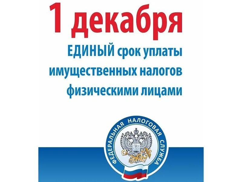 Единый день налоговой. Налоги до 1 декабря. Сроки уплаты налогов. Уплата имущественных налогов. 1 Декабря единый срок уплаты налога.