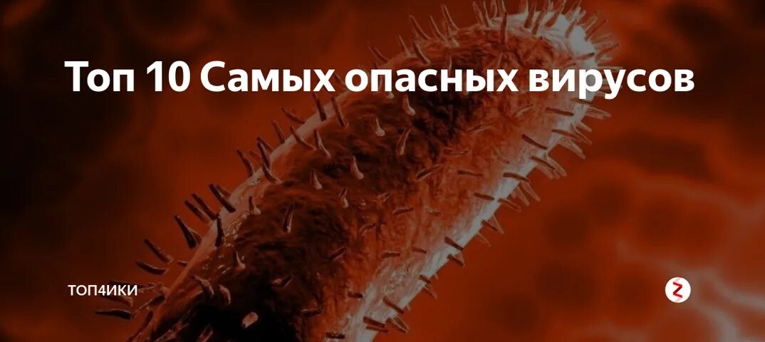 Самые опасные вирусные заболевания. Топ самых опасных вирусов. Самые опасные вирусы в мире для человека. Опасные вирусы в мире