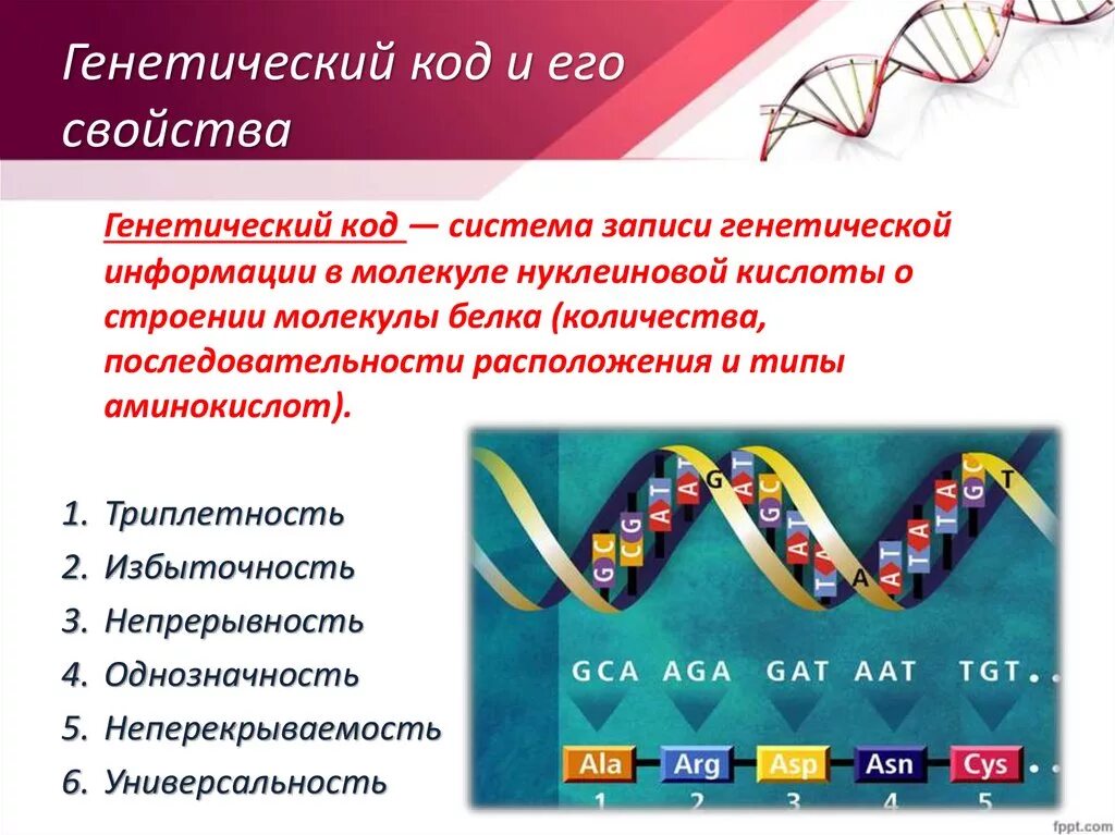 Наследственная информация и генетический код. Генетический код ДНК. ДНК. Ген. генетический код. Генетический (биологический) код. Свойство генетической информации