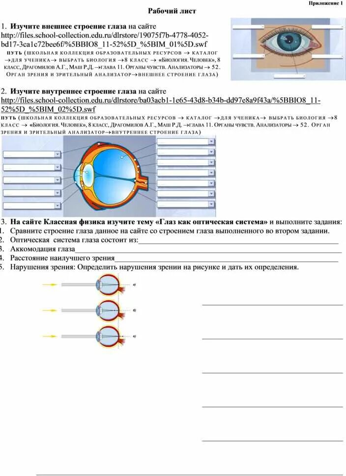 Презентация глаз как оптическая система 9 класс. Оптическая система глаза физика 9 класс. Глаз как оптическая система доклад по физике 11 класс. Человеческий глаз как оптическая система физика 11. Строение глаза физика 11 класс.