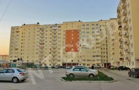 Шевченко 237