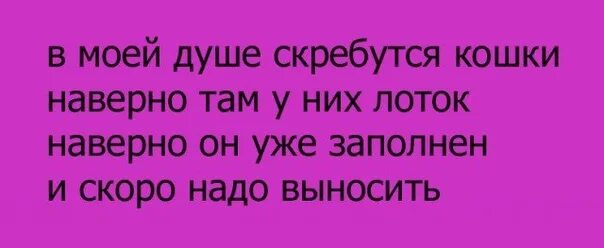 На душе скребутся кошки. Стишки пирожки. Если на душе скребут кошки. Когда на душе кошки скребут.