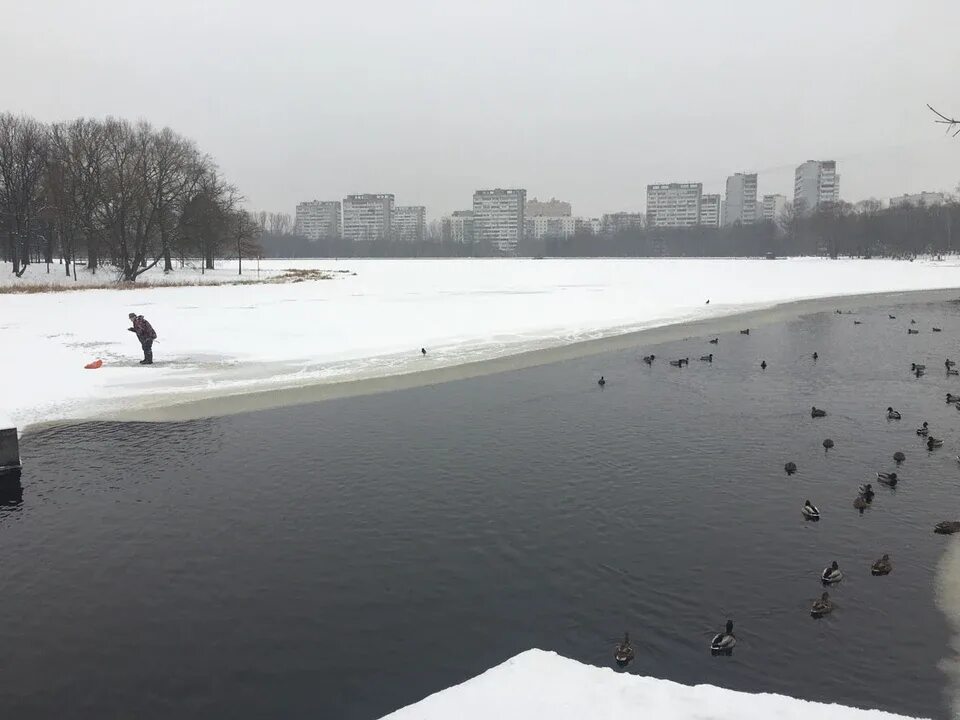 Пруд ледова. Головинские пруды. большой головинский пруд рыбалка. головинские пруды зима. лед на москве реке.
