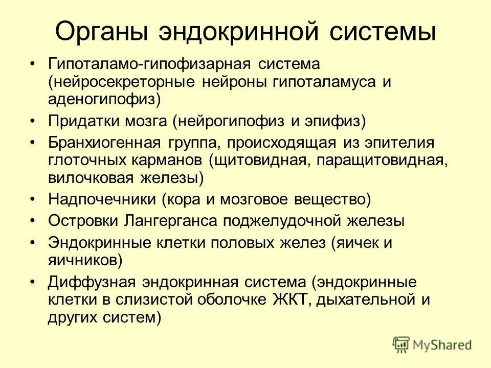 бранхиогенная группа желез развивается из. приведите классификацию желез внутренней секреции. бранхиогенные железы внутренней секреции. эндокринные железы бранхиогенной группы. железы внутренней секреции бранхиогенная группа.