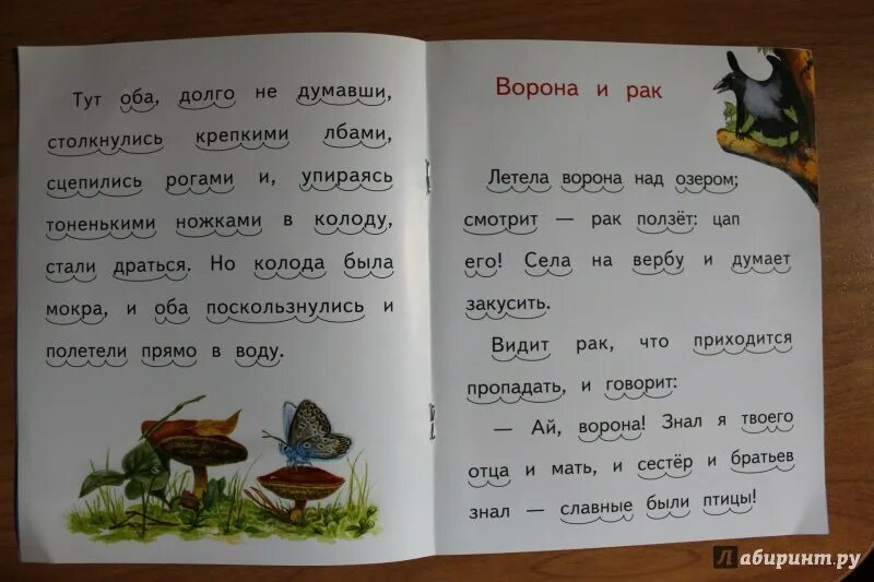 Ушинский к.д. "ворона и рак". Иллюстрации к рассказам Ушинского ворона. Рассказа к.д.Ушинского «ворона и рак»..