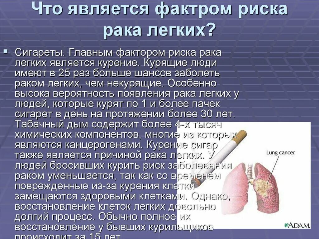 Рак суть болезни. Раковые заболевания легких. Сообщение о заболевании легких. - Раковые заболевания лёгких.