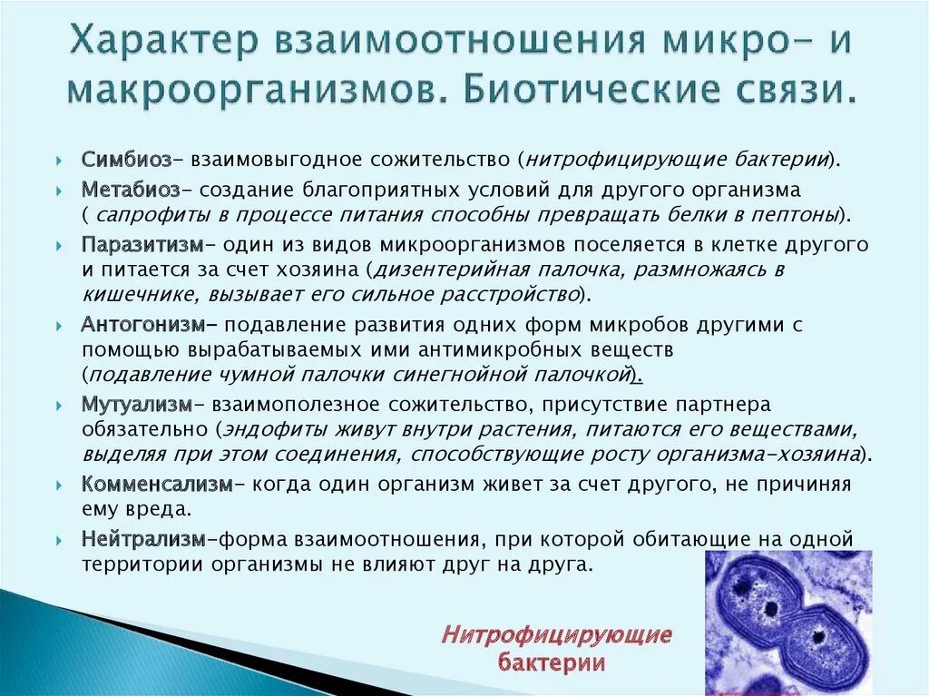 Признаки микро. Формы взаимодействия микро и макроорганизма микробиология. Характер взаимодействия микро и макроорганизма. Типы взаимоотношений микро и макроорганизмов. Типы взаимоотношений микроорганизмов и макроорганизмов.