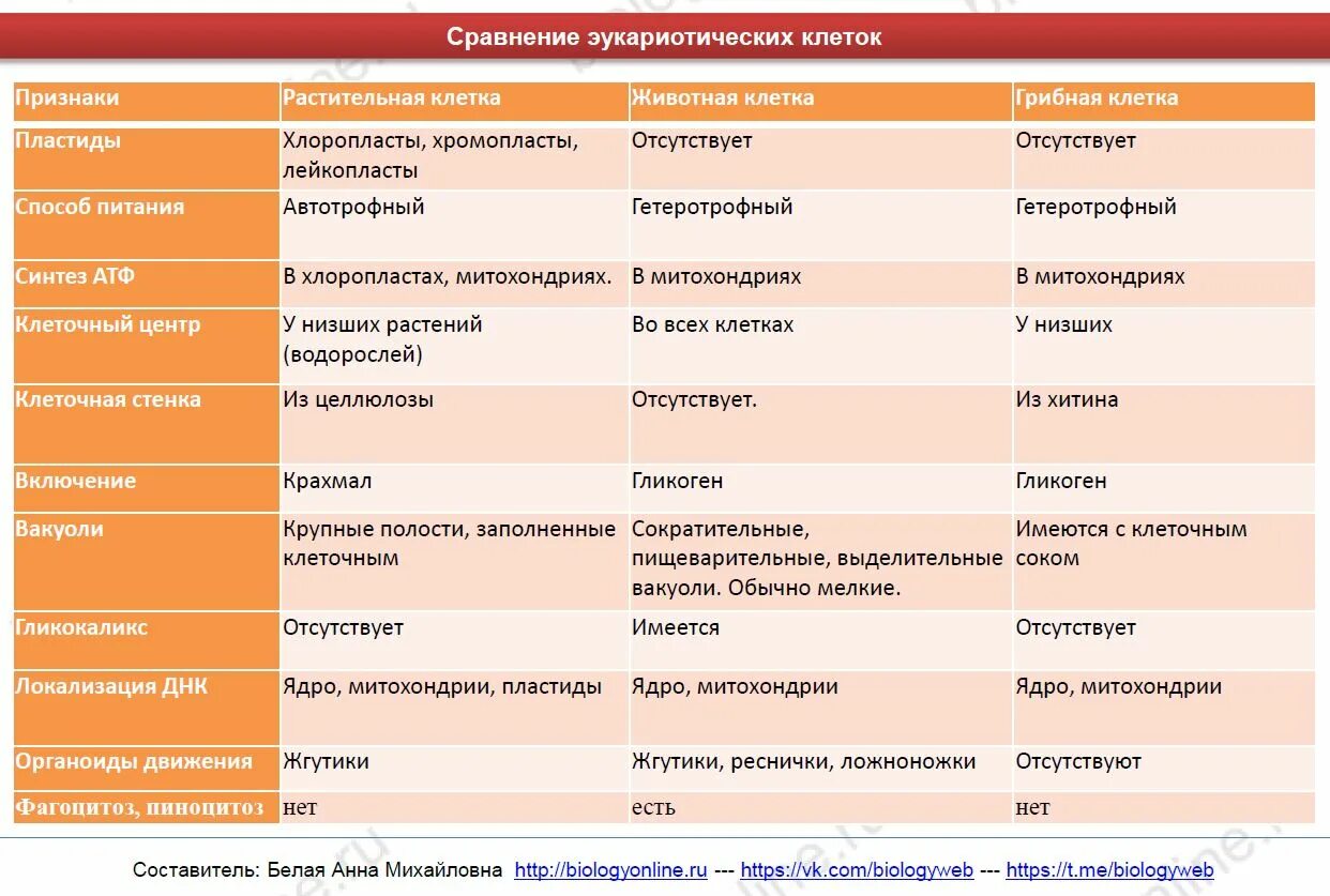 Таблица сравнения растительной. Сравнительная характеристика растительной и животной клетки. Отличительные признаки растительной и животной клетки таблица. Отличительные признаки растительной и животной клетки. Отличительные признаки растительной клетки от животной таблица.