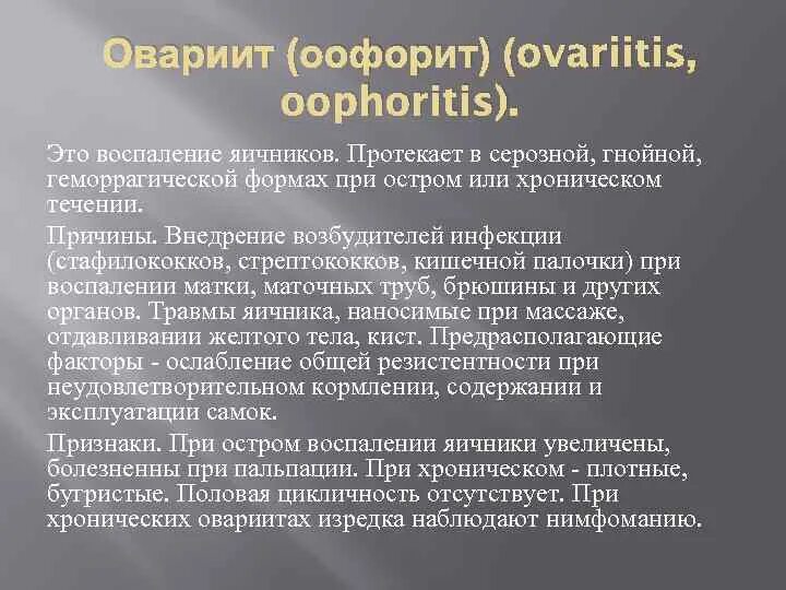 Воспаление яичников как называется. Хронический двухсторонний оофорит. оофорит воспаление яичников.