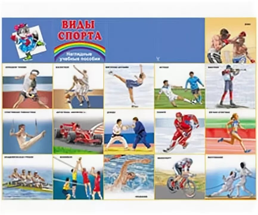 Плакат. Виды спорта. Виды споров. Виды спорта. Спортивные плакаты россии.