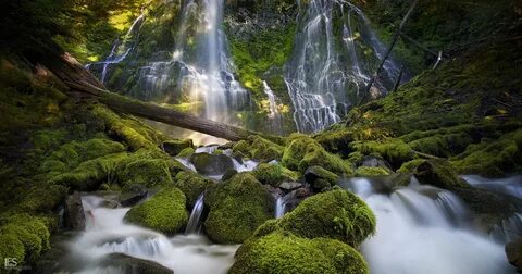 Красота земная природа