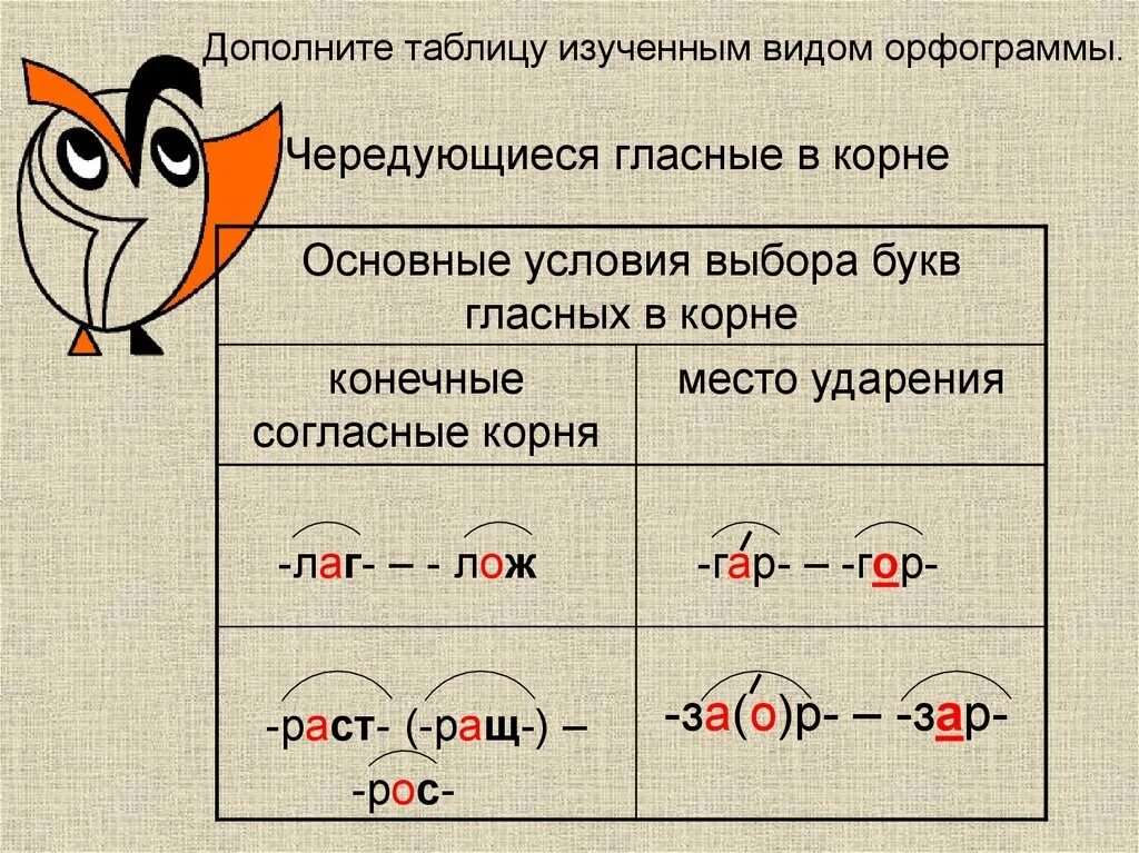 Орфограммы в корне. Орфограммы чередующиеся гласные в корне. Орфограмма чередующиеся гласные. Орфограммы чередование гласных в корне. Орфограмма примеры 5 класс