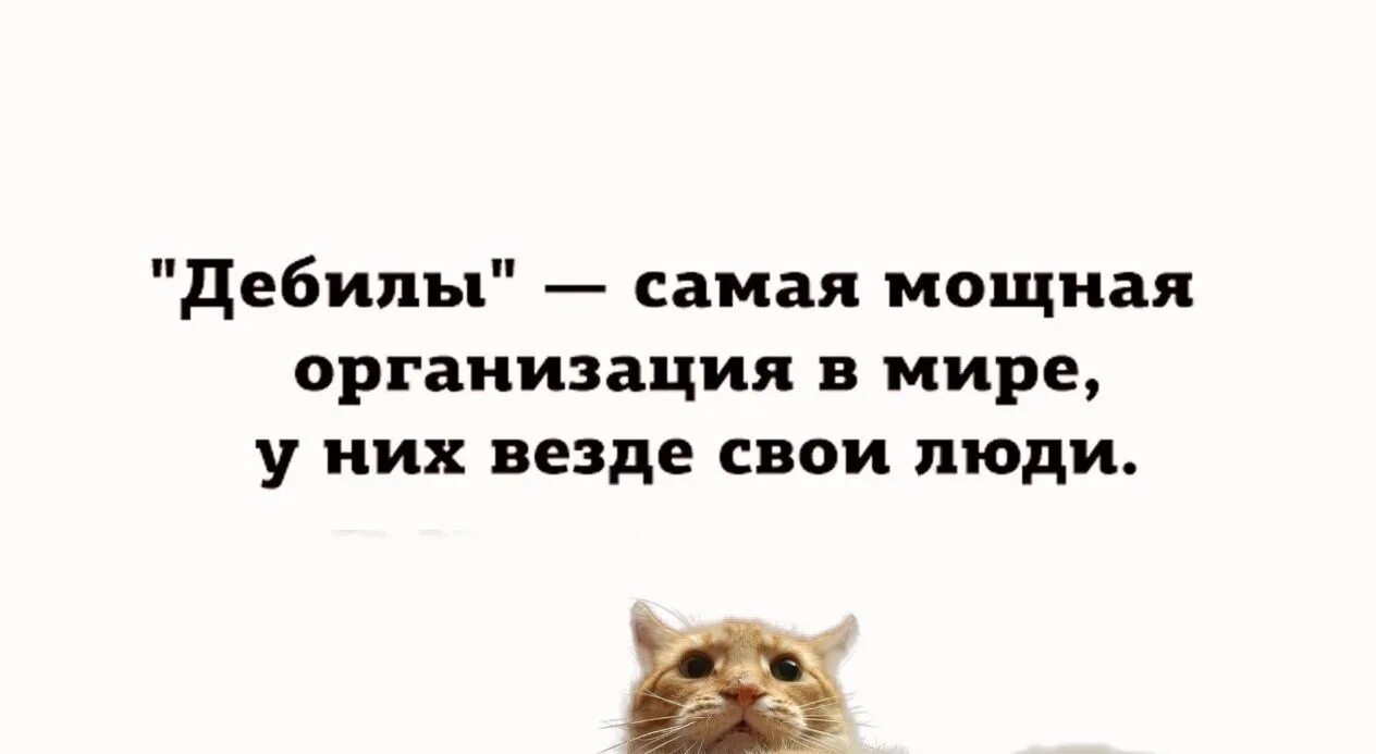 Идиоты самая мощная организация. Дебилы самая мощная организация в мире у них везде свои люди. Картинка дебилы самая мощная. Дебилы мощная организация. Самая мощная организация в мире.