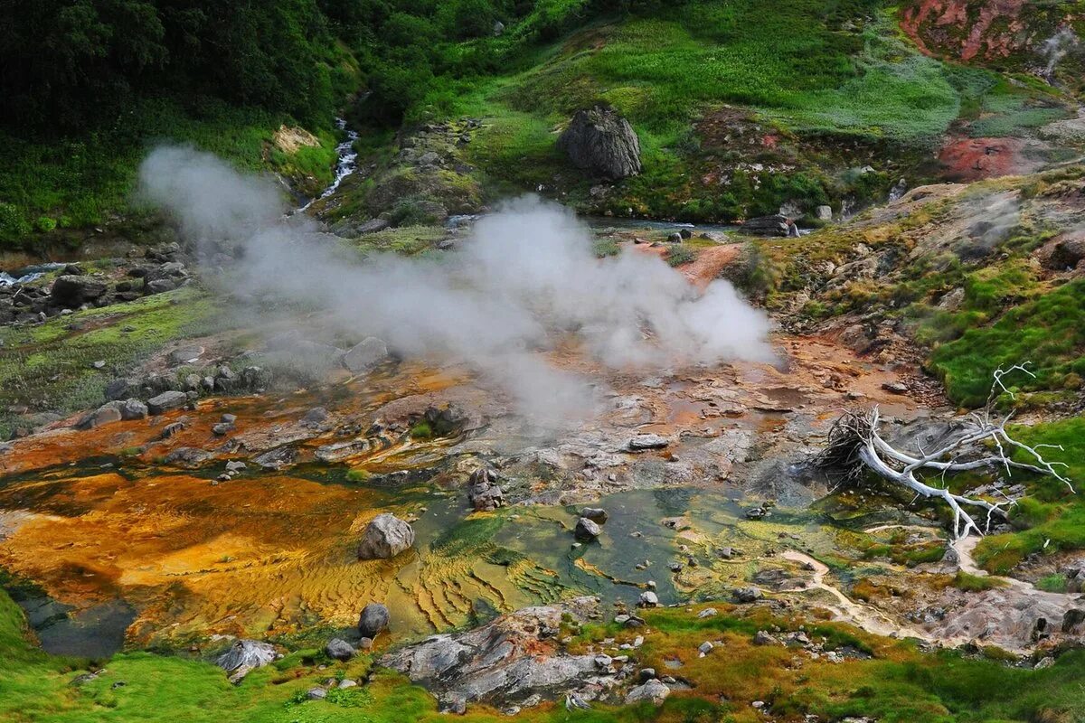 Долина гейзеров в кроноцком. Кроноцкая долина гейзеров. Долина гейзеров, камчатка. Гейзеры заповедник. Доли гейзеровкроноцкого заповедника.
