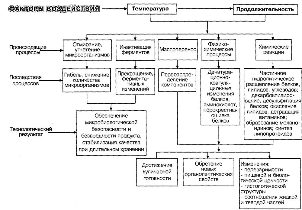Какие изменения происходят при тепловой обработке. Процессы происходящие при термической обработке продуктов. физико-химические процессы происходящие при тепловой обработке мяса.. процессы, происходящие в сырье при тепловой обработке. процессы происходящие в продуктах при тепловой обработке.