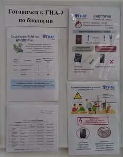 Огэ биология 20 20
