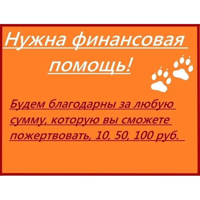 Деньги на операцию срочно. Нужна финансовая помощь. Прошу помощи. Нужна помощь. Срочно нужна финансовая помощь.