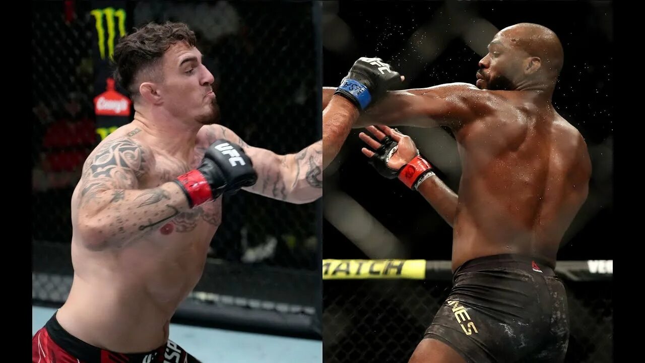 Том аспиналл юфс. Том аспиналл джон джонс. том аспинел боец. jon jones статистика ufc.
