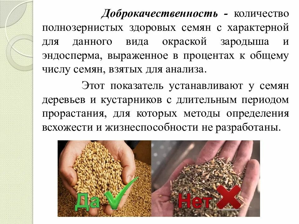 По каким показателям определяют жизнеспособность семян. Сортовые качества семян. Семенные качества семян. Оценка качества семян. Посевные качества семян.