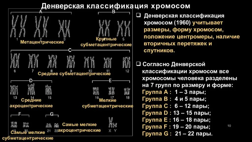 Хромосом группы d. Кариотип Денверская классификация. Кариотип человека Денверская классификация. Денверская классификация хромосом человека. Денверская и Парижская классификация хромосом.