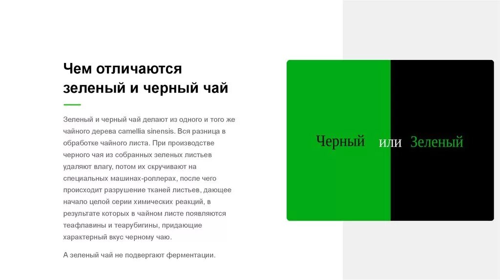 Чем отличается черный. Отличие черного чая от зеленого. Зелёный чай и черный чай отличия. Разница черного и зеленого чая. Чем отличается черный чай от зеленого.