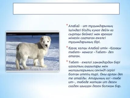 Бетінде отырған қожайынның порно фотосы