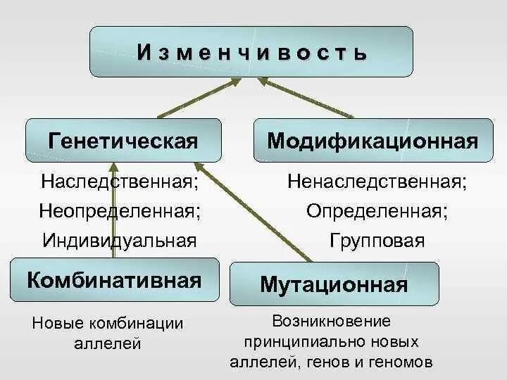 Сходства и различия наследственной и наследственно. Модификационная комбинативная и наследственная изменчивости. Мутационная модификационная комбинативная. Комбинативная форма изменчивости. Комбинативная и модификационная изменчивость.