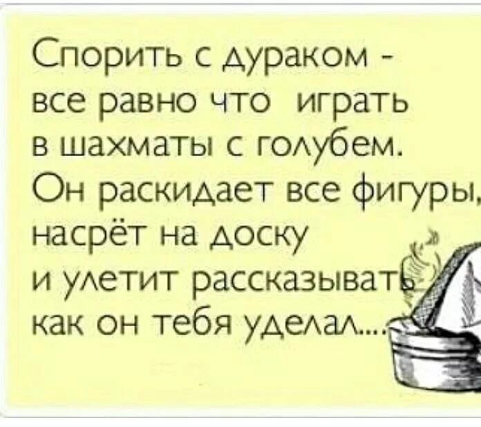 Быстро спорить. Высказывания о дураках. Афоризмы про дураков. Спорить с дураком. Афоризмы про дураков и умных.