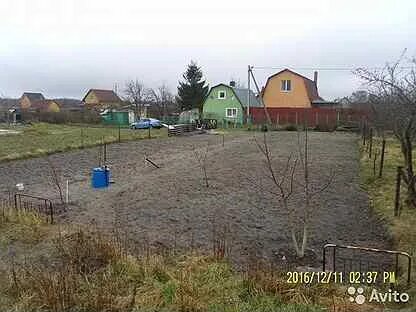 Участок янтарный