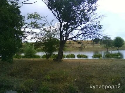 Мокрый р