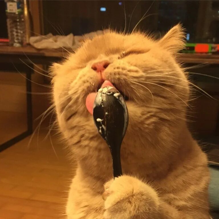 Нет не вкусно было
