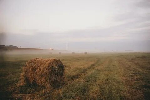 Утро выдалось прохладное золотое веселое